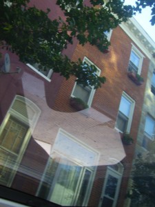 View of Dan & Amy's from the sunroof