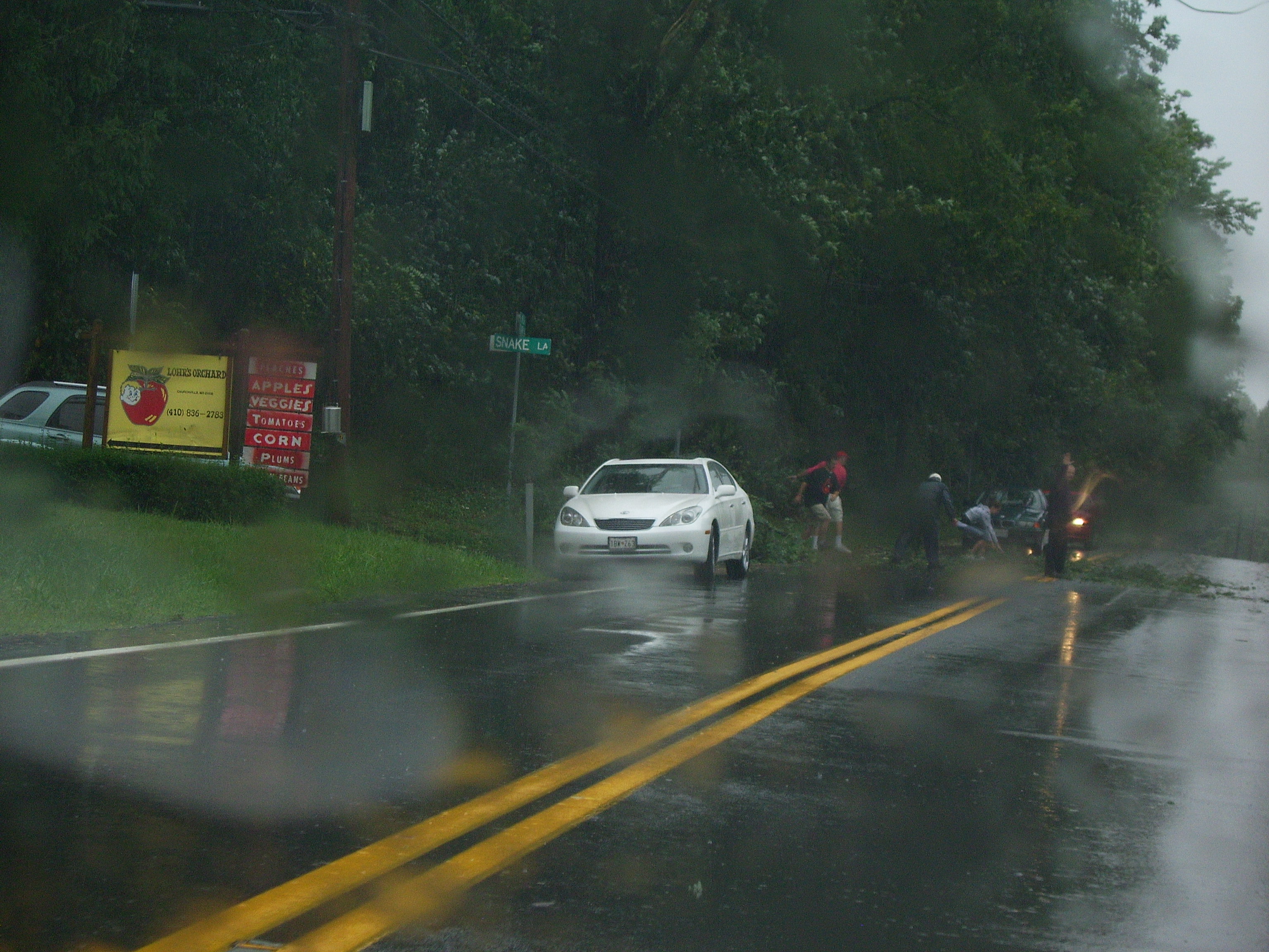 Good Samaritans clearing the road of Hanna debris